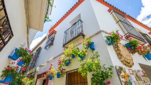 Лучшие страны для цифровых кочевников по версии VisaGuide