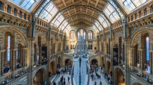 Лондон познавательный: ТОП-10 музеев города