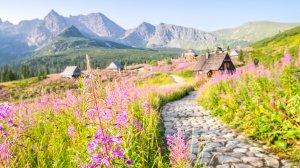 Загрязненный воздух: польский суд запретил Закопане взимать климатический сбор с туристов