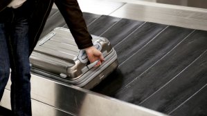 Невероятные находки в забытом багаже: что обнаружили в США в этом году