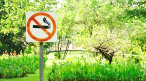 Борьба с курением: во Франции вступит в силу полный запрет на курение в общественных зонах, где бывают дети