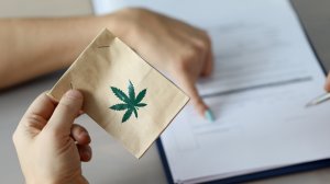 Таиланд возвращает строгие ограничения на продажу каннабиса