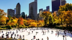 New York in winter: what to see, where to go