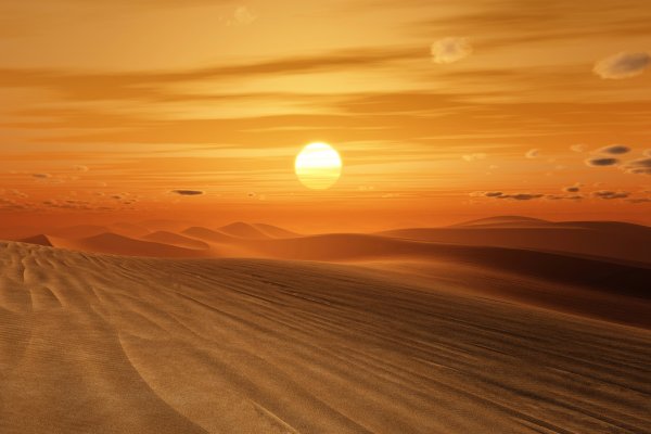 Документы для въезда в Египет станут цифровыми