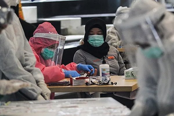 В Индии зафиксировали вспышку вируса Нипа: что нужно знать путешественникам