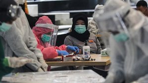 В Индии зафиксировали вспышку вируса Нипа: что нужно знать путешественникам