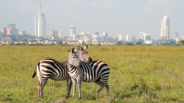 Nairobi: las 15 atracciones turísticas más importantes de la capital de Kenia