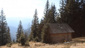 Появилась интерактивная карта приютов для туристов в Карпатах