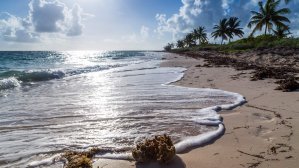 Где отдохнуть в декабре?