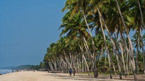 Билеты в Африку со СКИДКОЙ 50%