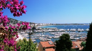 La primavera está cerca: 7 ciudades para dar la bienvenida a la primavera