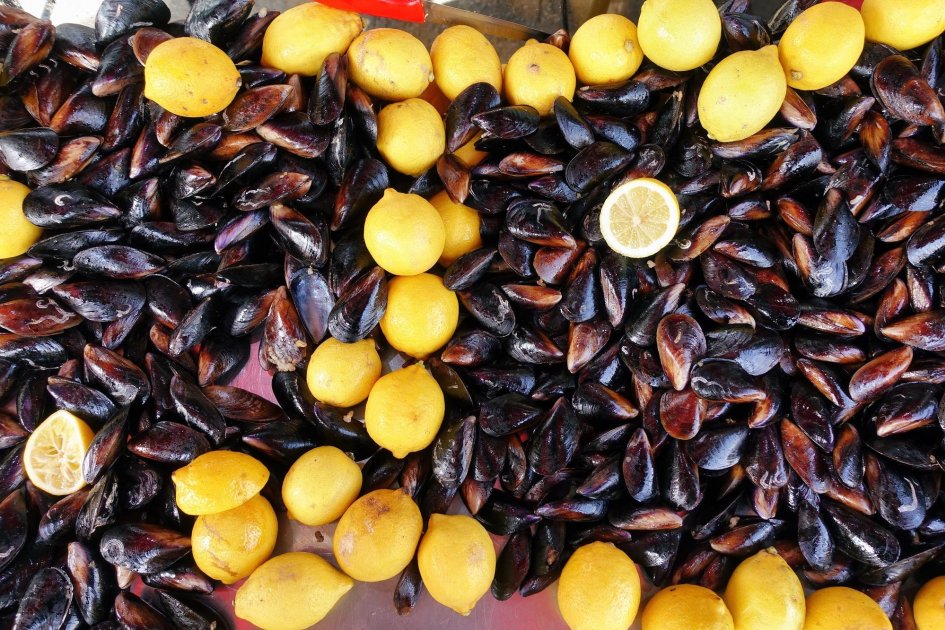 Mussels with rice — a Turkish street food from Istanbul