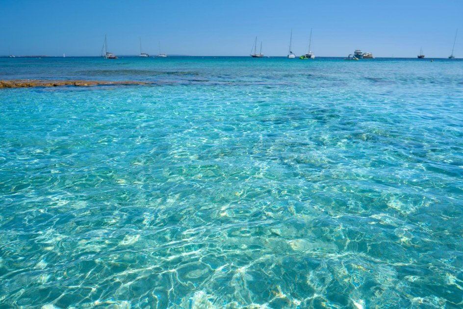 The snow-white Ses Salines Beach with pine trees, southern Ibiza