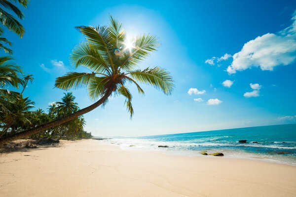 The crystal-clear Caribbean waters of the Dominican Republic