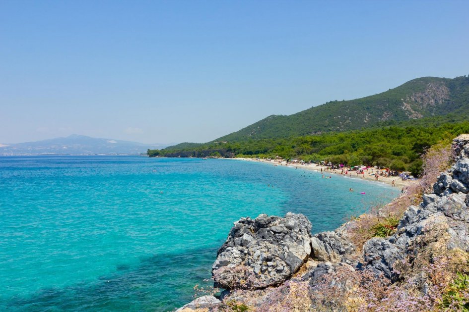 Davutlar, Cushadasy
