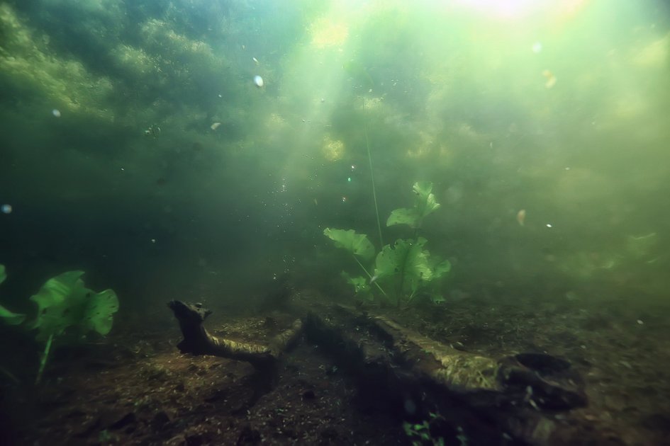 Deep-Lake Ecosystems