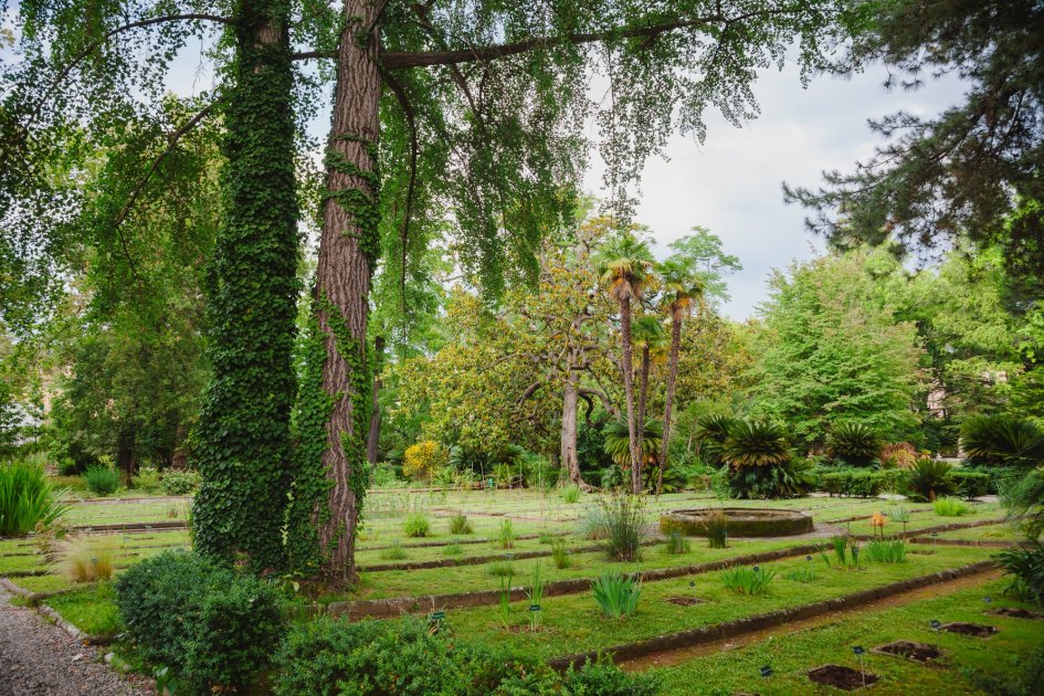 Botanical Garden of the University of Pisa