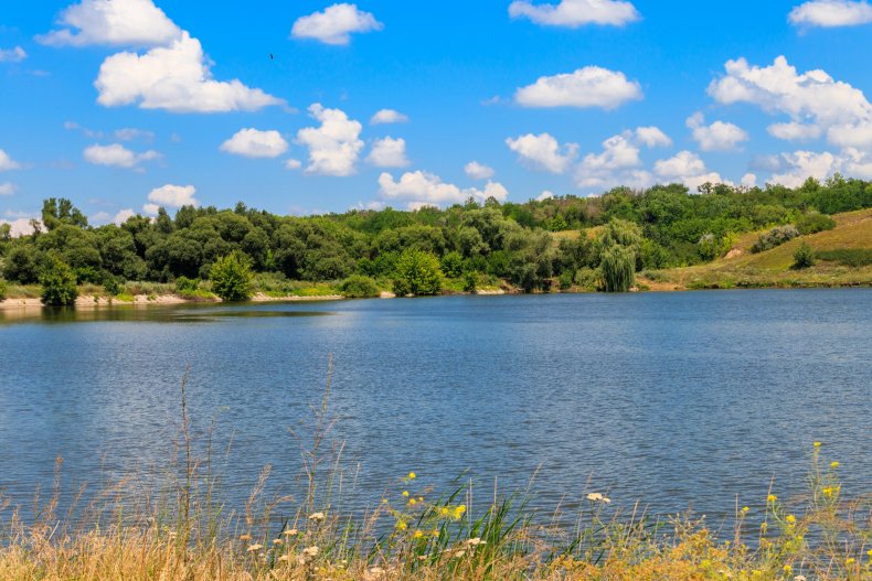  Paisaje de verano con un hermoso lago, prados verdes, colinas, árboles y cielo azul