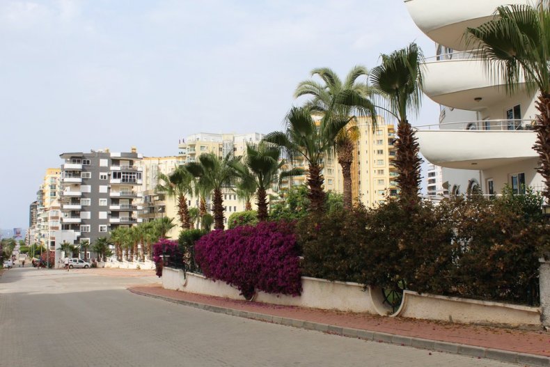 The beautiful blossoming streets of Alanya in Turkey. Flowers, trees, a residential building shaped like a sailboat, and balconies shaped like boats on the streets of Turkey. Clear, cloudless sky. 