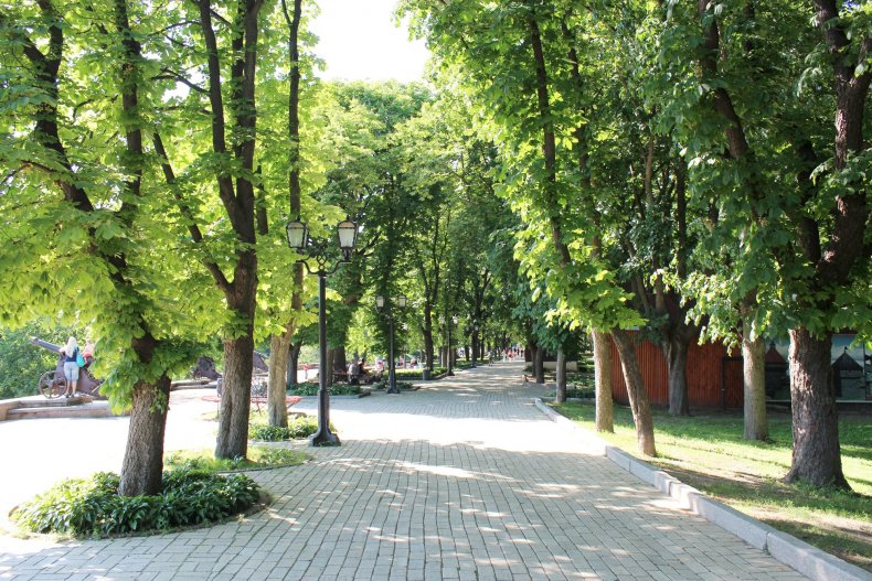 A city park with a tree-lined path and lush trees, perfect for relaxing at no cost