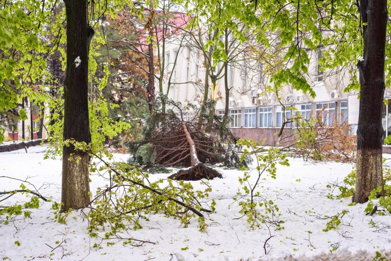 A snowy winter on the streets of downtown Chisinau