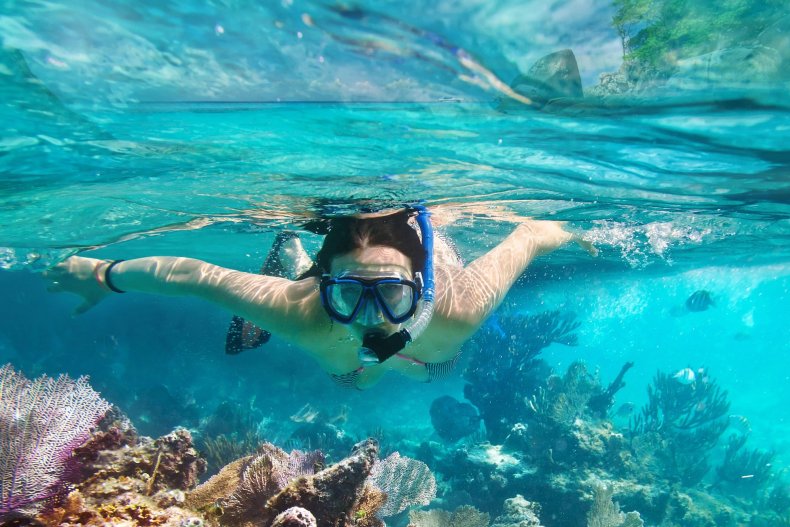 Snorkel en las aguas tropicales del Mar Rojo