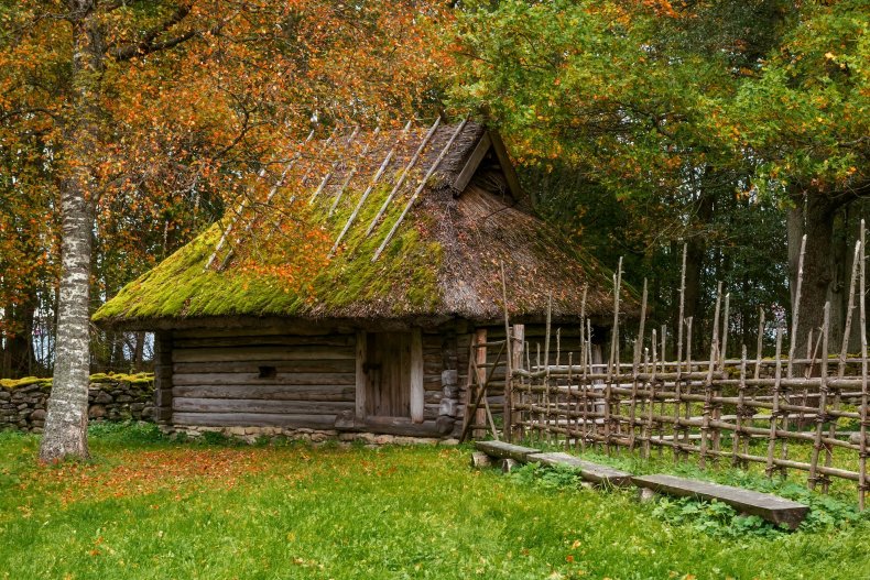 Осінь Естонія