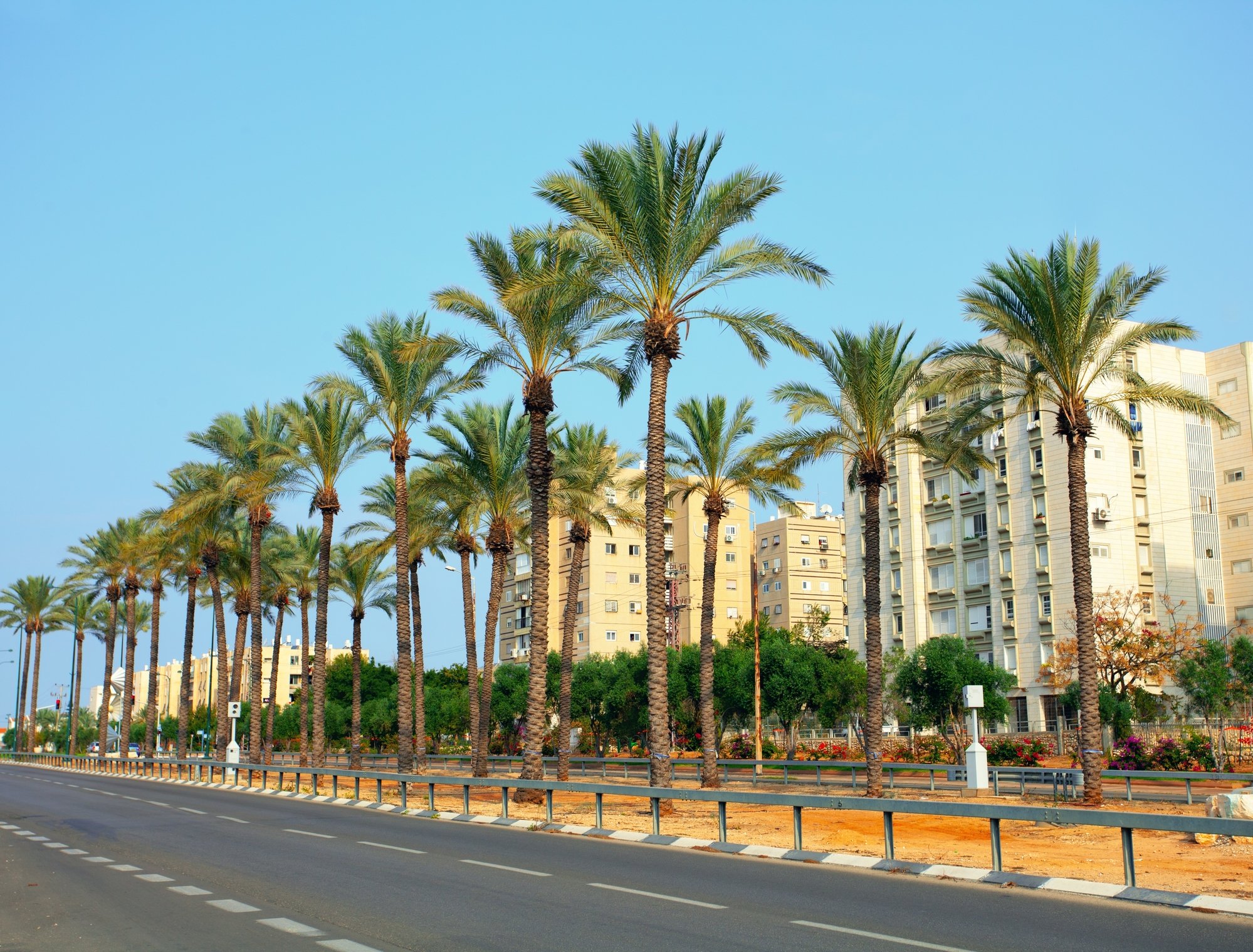 Netanya A Guide With Vacation Prices What A Tourist Needs To Know Netanya A Guide With Vacation Prices What A Tourist Needs To Know