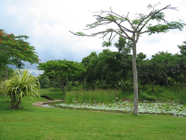 Достопримечательности куты